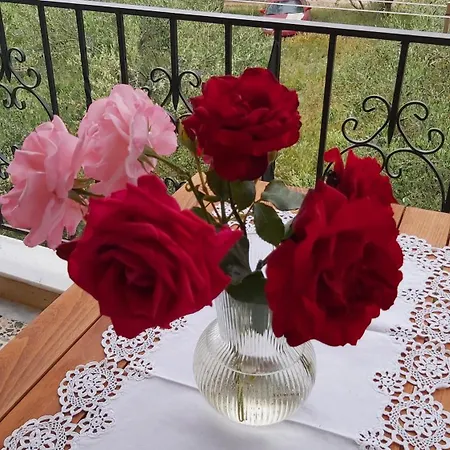 Anna's House 3 Apartment